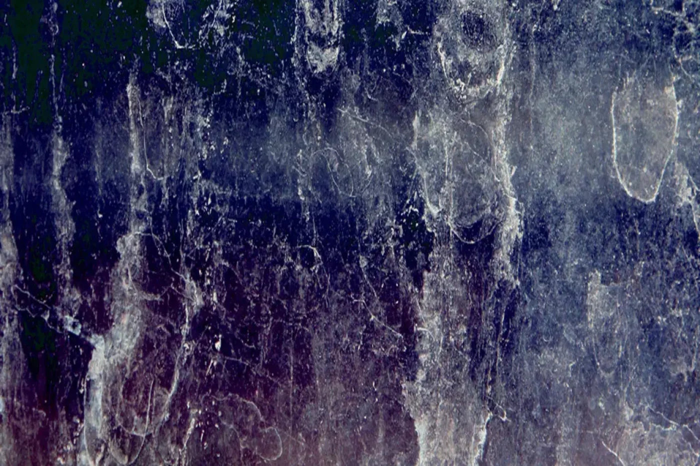 Freeze Backdrop