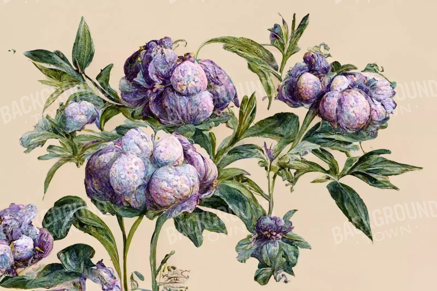 French Botanical 12’X8’ Ultracloth (144 X 96 Inch) Backdrop
