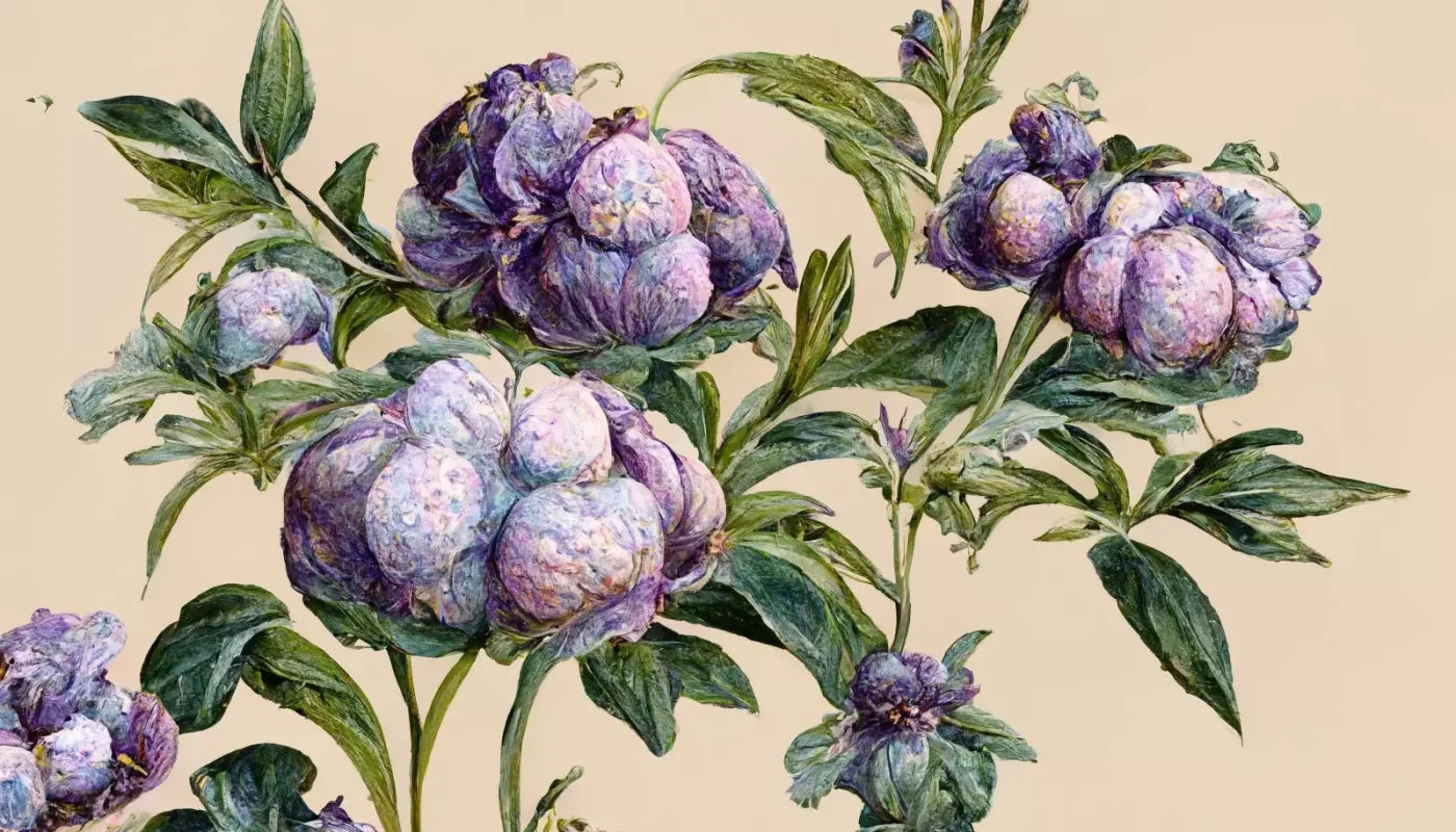 French Botanical 14’X8’ Ultracloth (168 X 96 Inch) Backdrop
