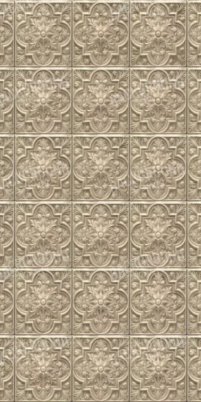 Frenchie 10X20 Ultracloth ( 120 X 240 Inch ) Backdrop