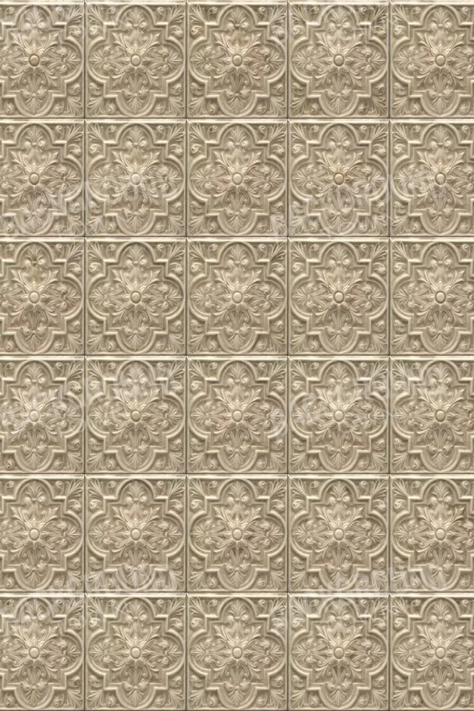 Frenchie 5X8 Ultracloth ( 60 X 96 Inch ) Backdrop