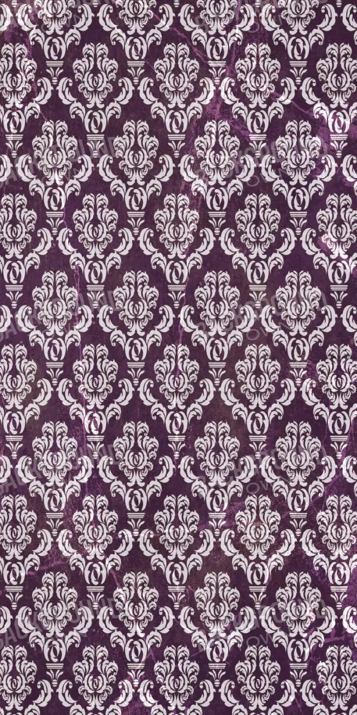 Frivolous 10X20 Ultracloth ( 120 X 240 Inch ) Backdrop