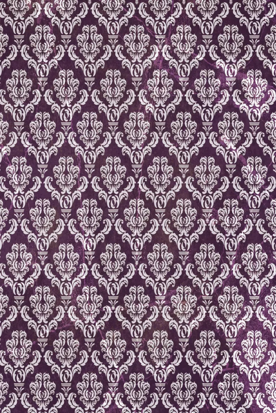Frivolous 5X8 Ultracloth ( 60 X 96 Inch ) Backdrop