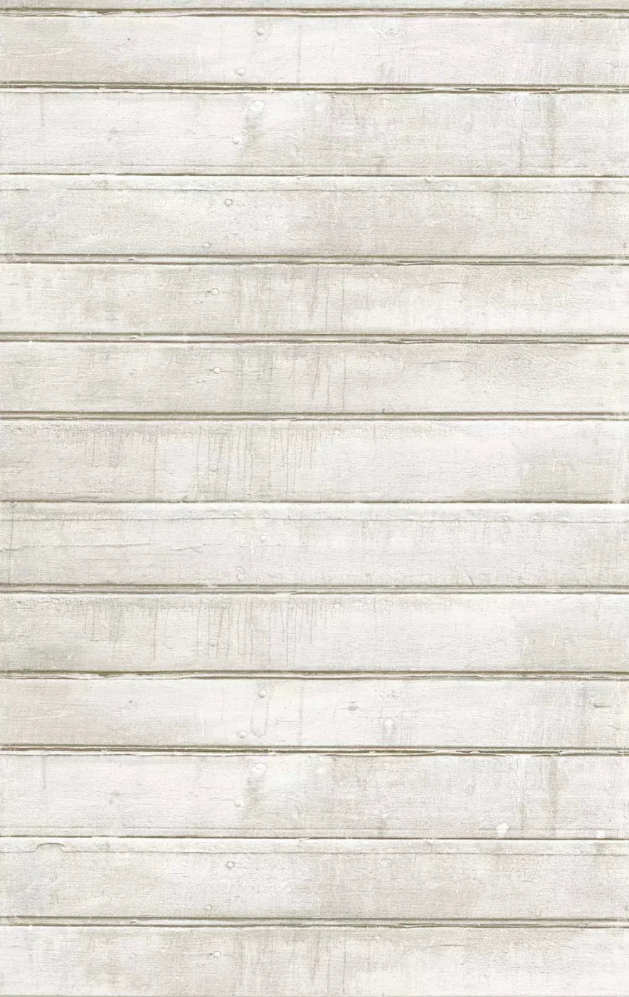 Frost 10X16 Ultracloth ( 120 X 192 Inch ) Backdrop