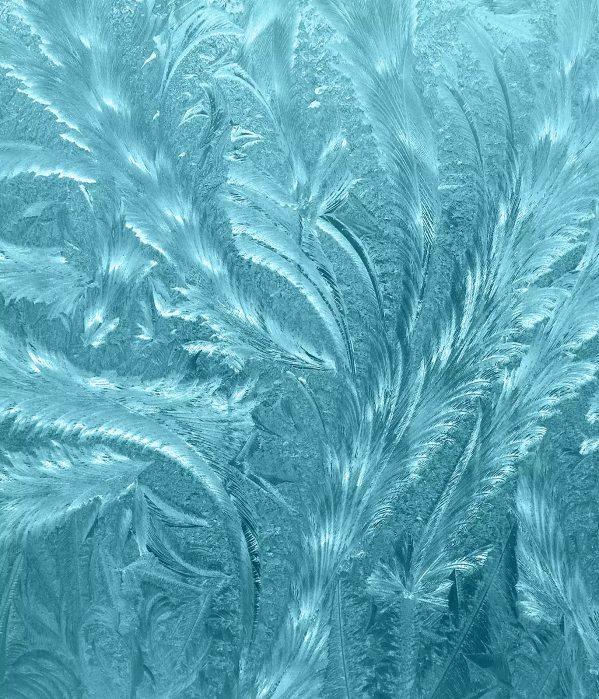Frosted Blue 10’X12’ Ultracloth (120 X 144 Inch) Backdrop