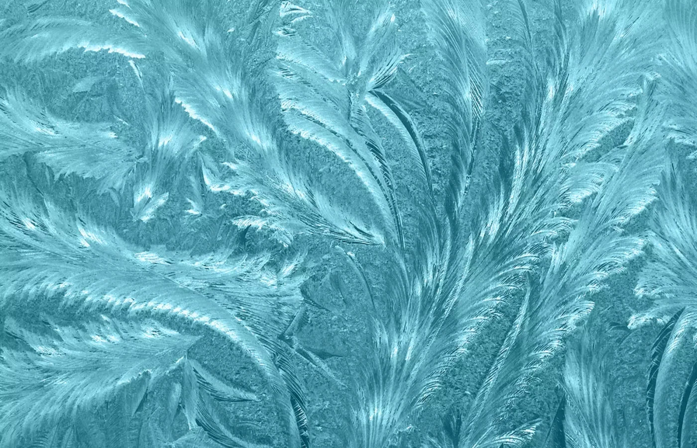 Frosted Blue 12’X8’ Ultracloth (144 X 96 Inch) Backdrop