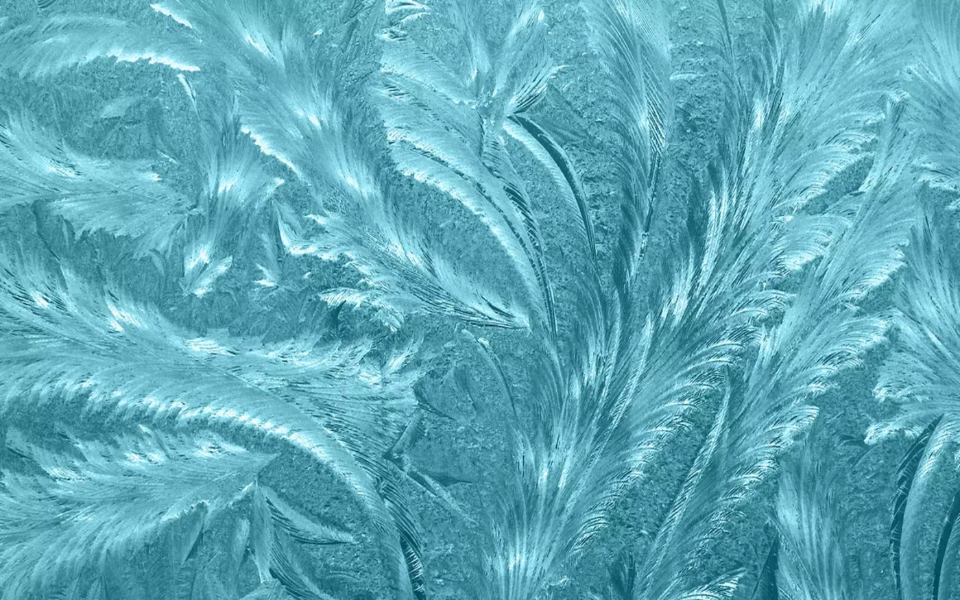 Frosted Blue 14’X9’ Ultracloth (168 X 108 Inch) Backdrop