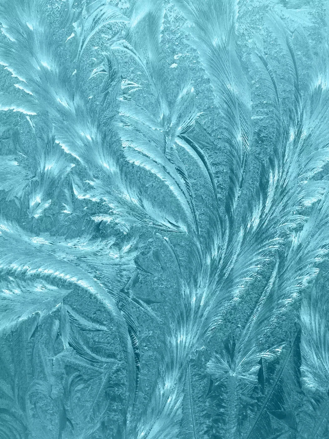 Frosted Blue 5’X6’8’ Fleece (60 X 80 Inch) Backdrop