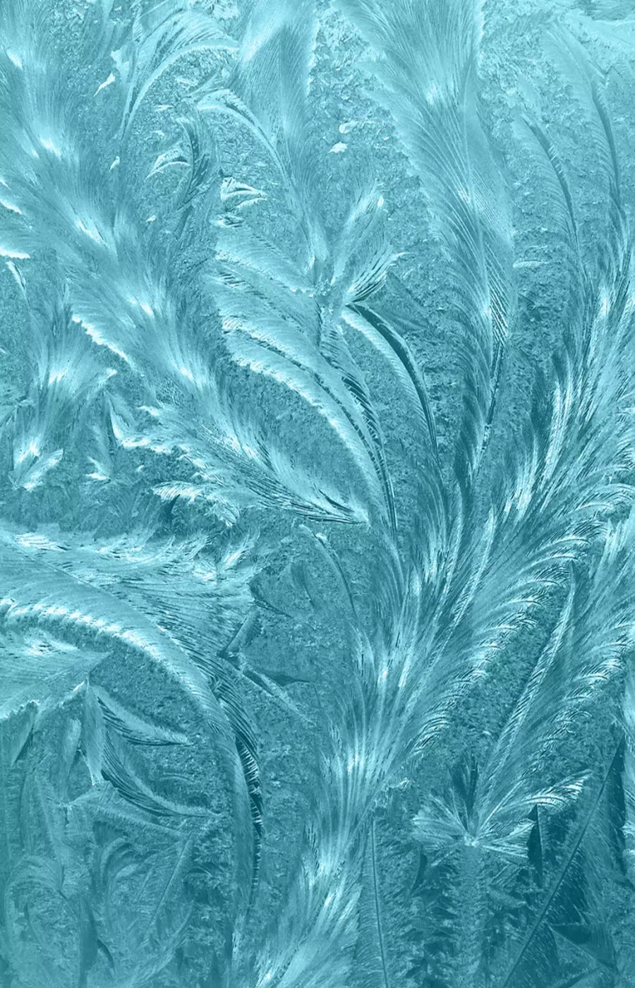Frosted Blue 8’X12’ Ultracloth (96 X 144 Inch) Backdrop