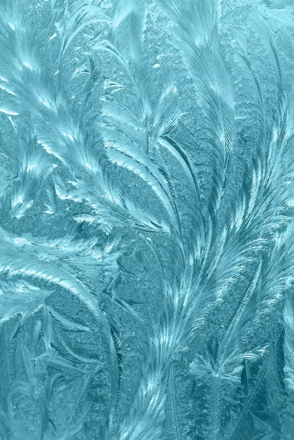 Frosted Blue Backdrop