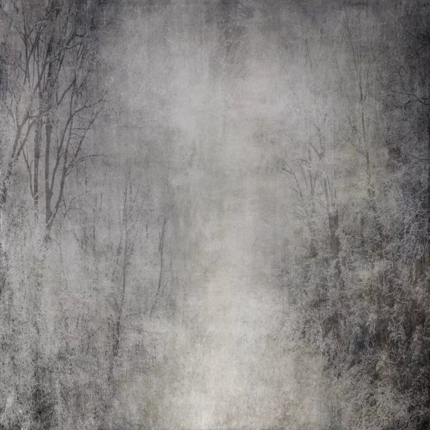 Frosted Trees 10’X10’ Ultracloth (120 X Inch) Backdrop