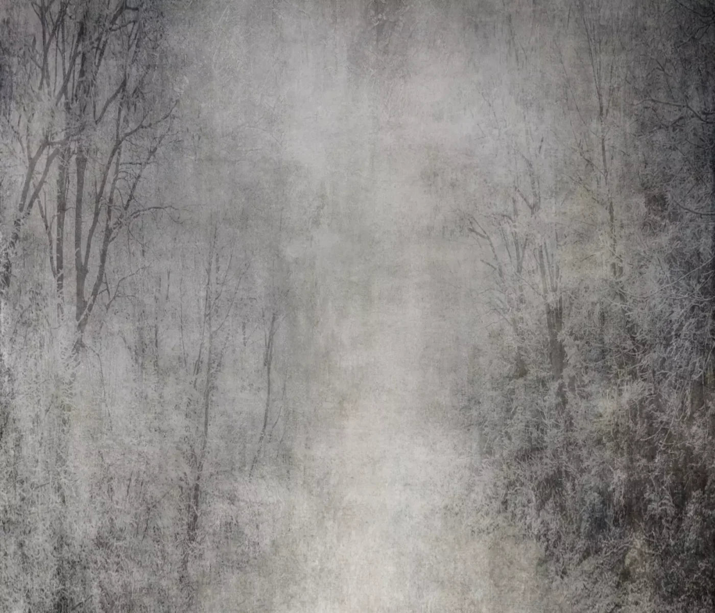 Frosted Trees 12’X10’ Ultracloth (144 X 120 Inch) Backdrop