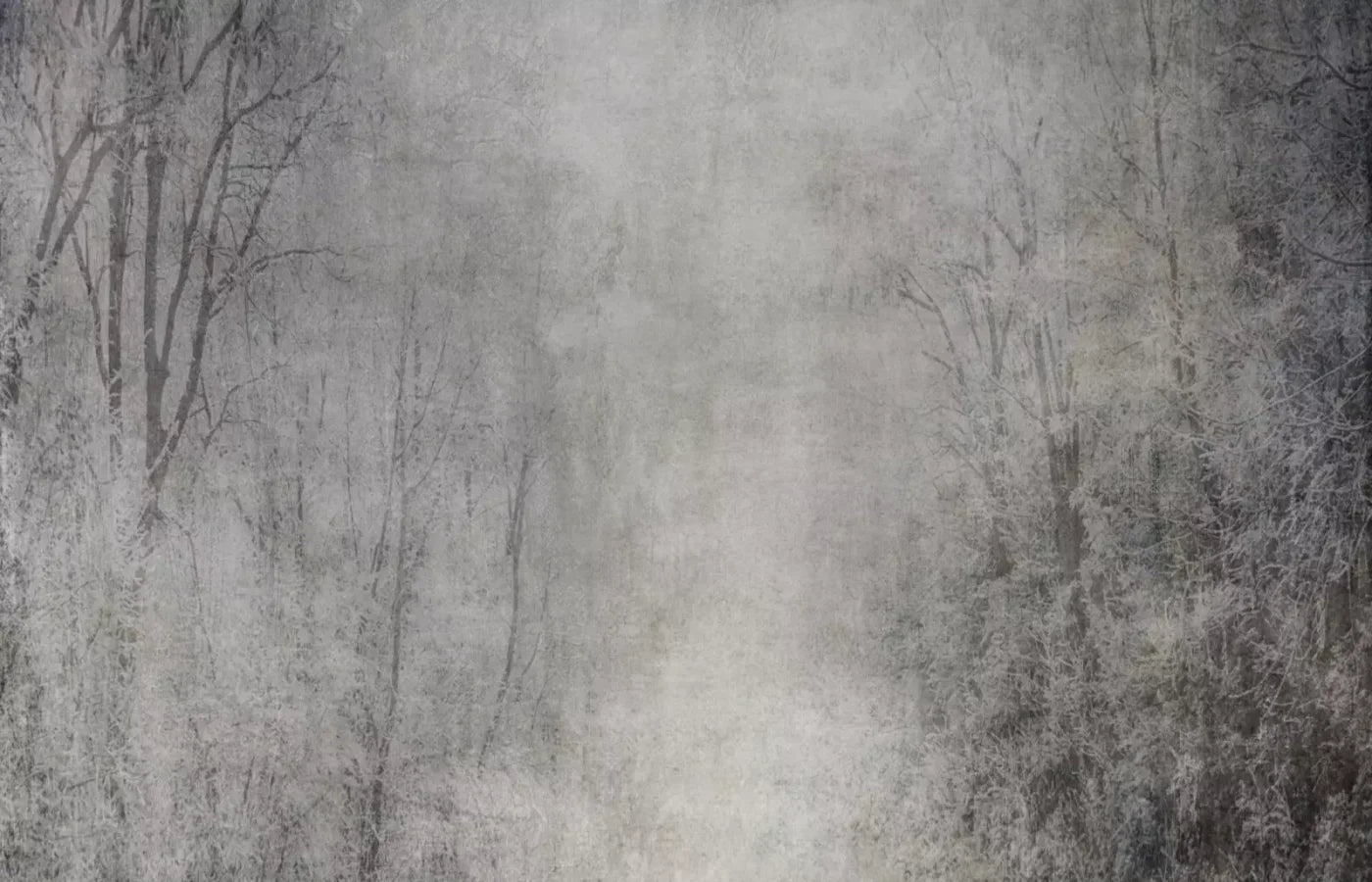Frosted Trees 12’X8’ Ultracloth (144 X 96 Inch) Backdrop