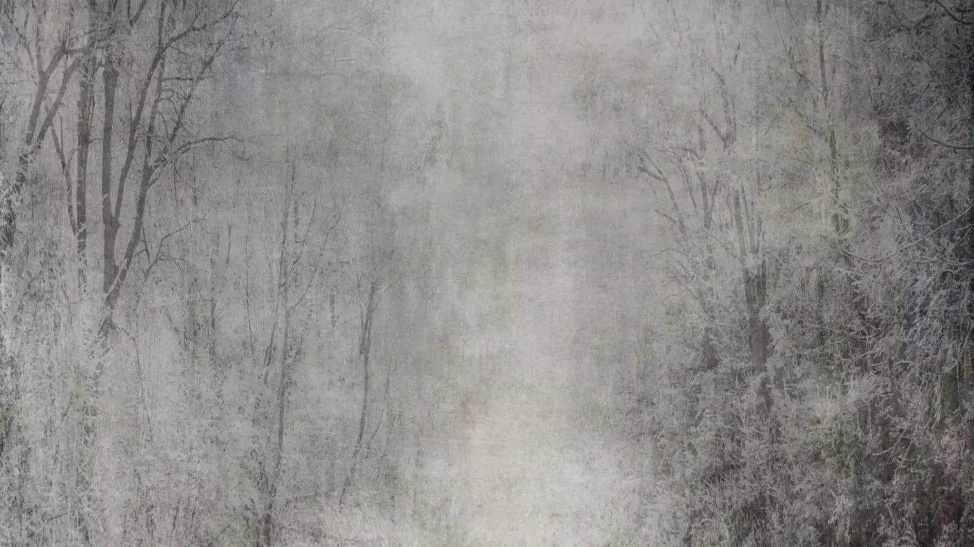 Frosted Trees 14’X8’ Ultracloth (168 X 96 Inch) Backdrop