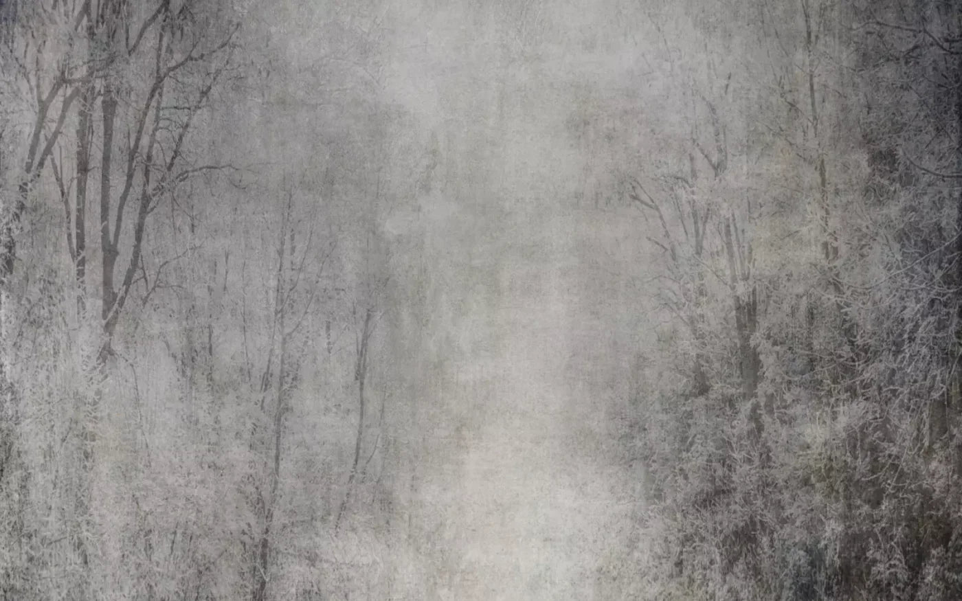 Frosted Trees 14’X9’ Ultracloth (168 X 108 Inch) Backdrop