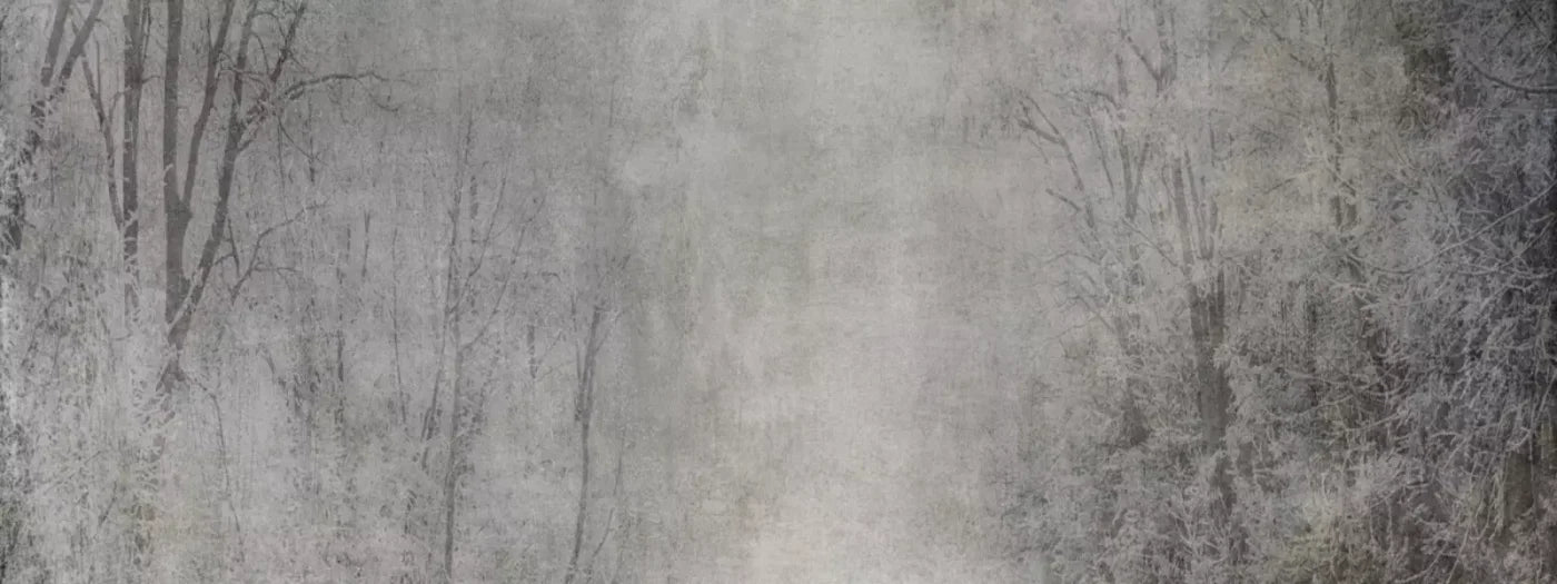 Frosted Trees 20’X8’ Ultracloth (240 X 96 Inch) Backdrop