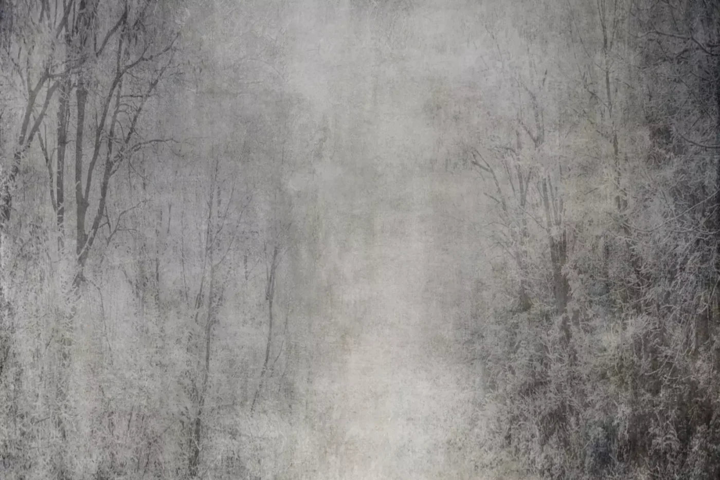 Frosted Trees 8’X5’ Ultracloth (96 X 60 Inch) Backdrop