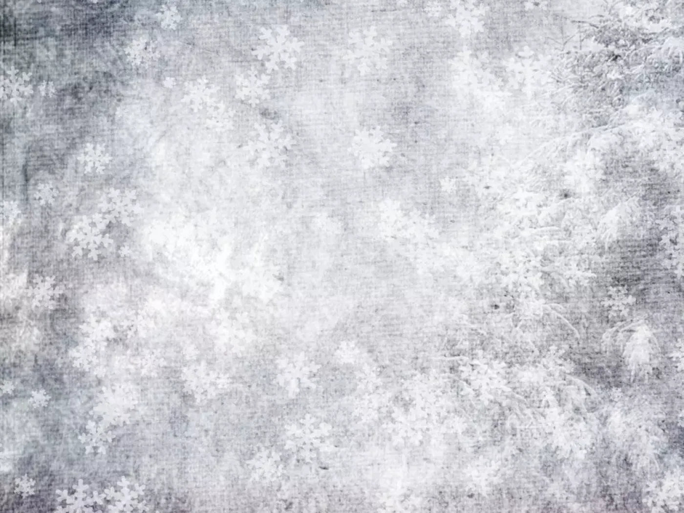 Frosty 10’X8’ Fleece (120 X 96 Inch) Backdrop