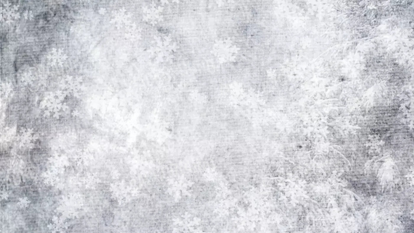 Frosty 14’X8’ Ultracloth (168 X 96 Inch) Backdrop