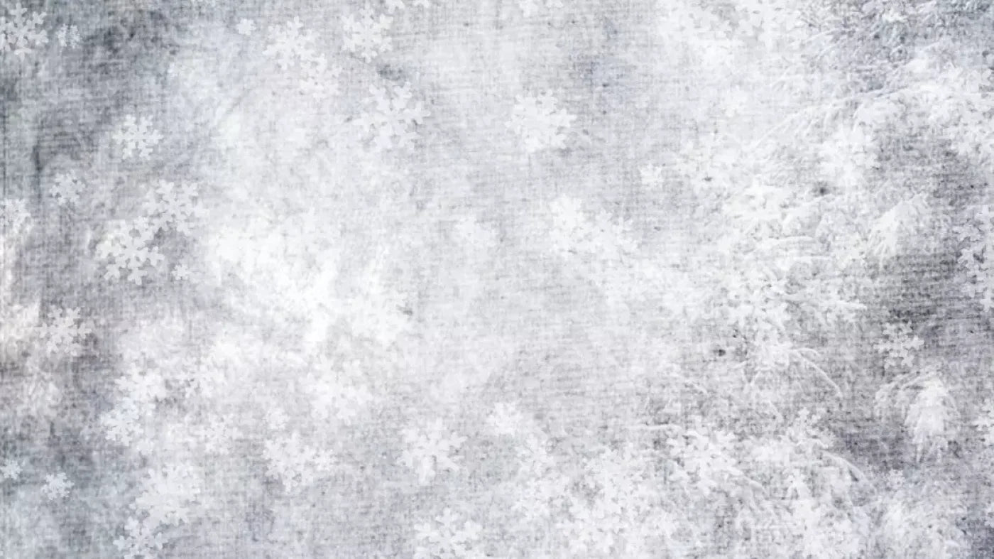 Frosty 14’X8’ Ultracloth (168 X 96 Inch) Backdrop