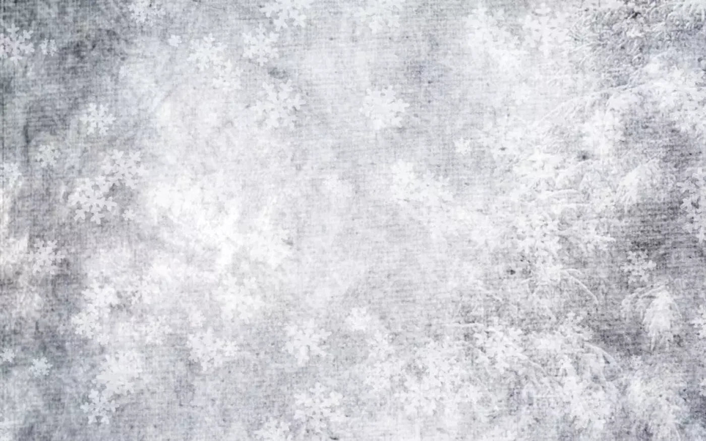 Frosty 14’X9’ Ultracloth (168 X 108 Inch) Backdrop