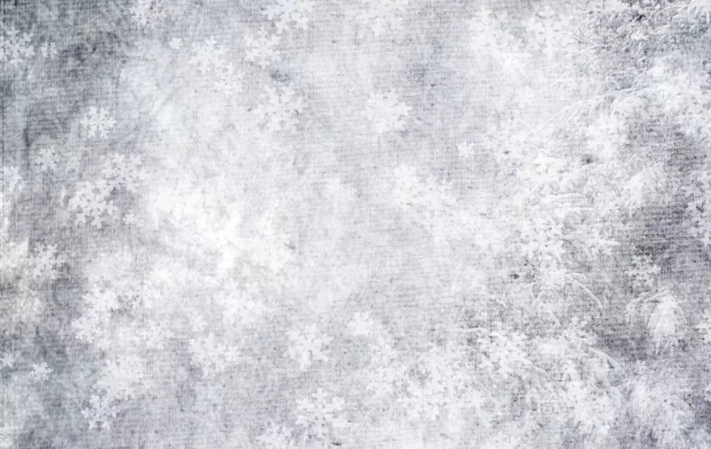 Frosty 16’X10’ Ultracloth (192 X 120 Inch) Backdrop