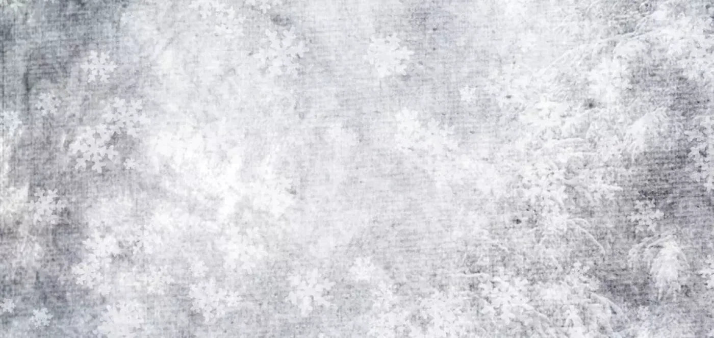 Frosty 16’X8’ Ultracloth (192 X 96 Inch) Backdrop