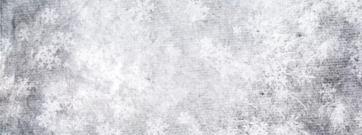 Frosty 20’X8’ Ultracloth (240 X 96 Inch) Backdrop