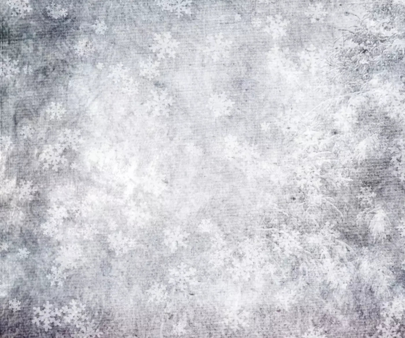 Frosty 5’X4’2’ Fleece (60 X 50 Inch) Backdrop