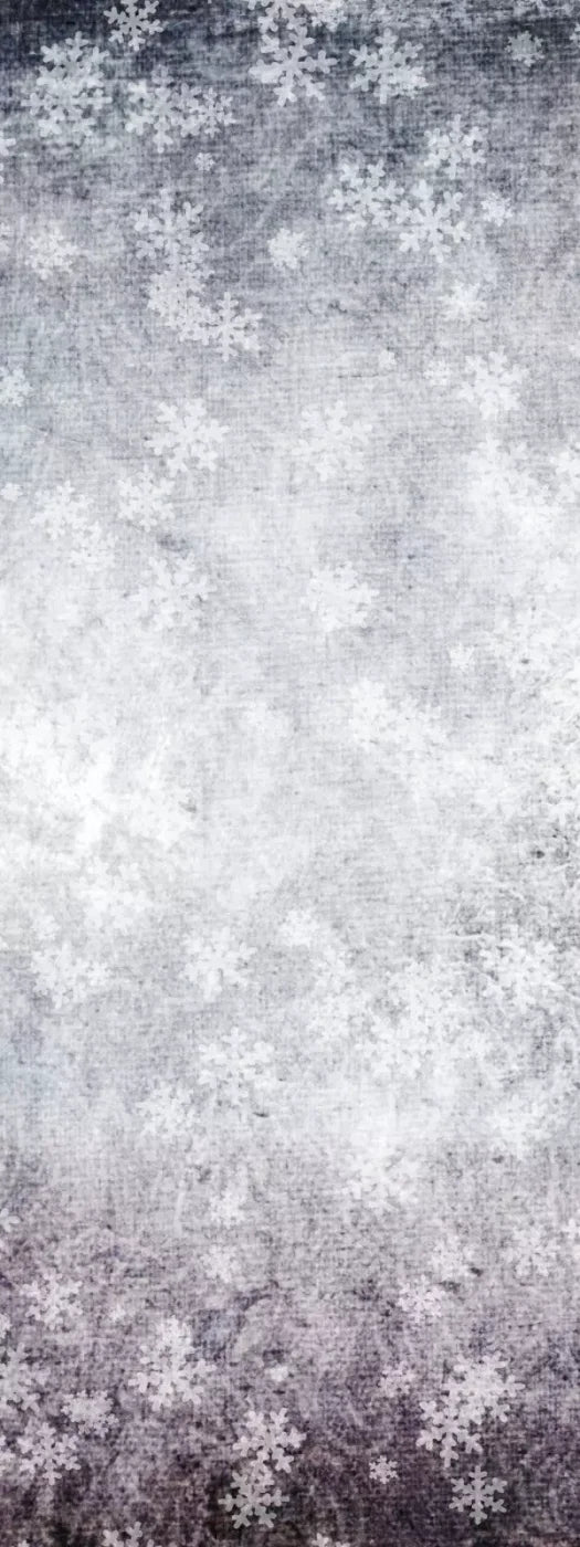 Frosty 8’X20’ Ultracloth (96 X 240 Inch) Backdrop