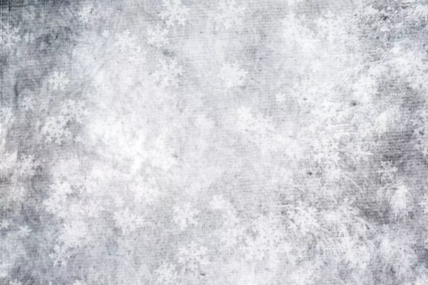 Frosty Backdrop