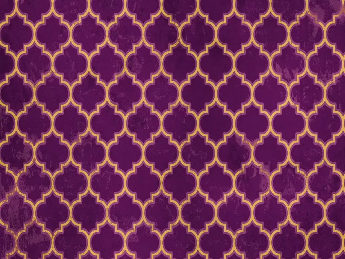 Fuchsia Pattern 68X5 Fleece ( 80 X 60 Inch ) Backdrop