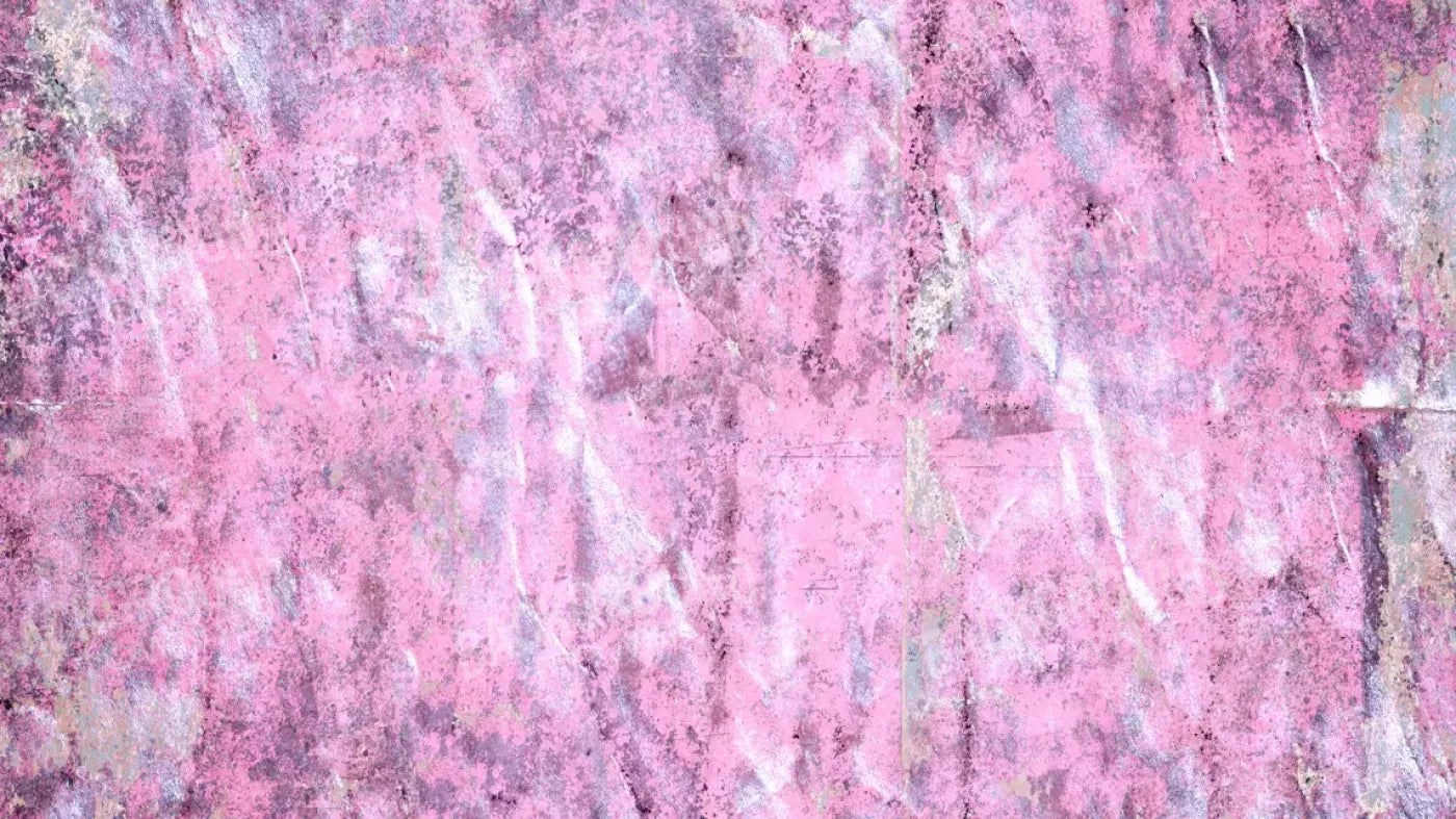 Gabby 14X8 Ultracloth ( 168 X 96 Inch ) Backdrop