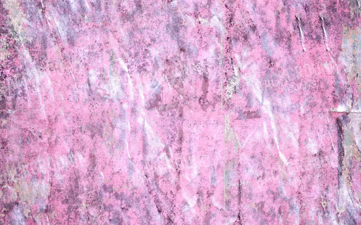 Gabby 14X9 Ultracloth ( 168 X 108 Inch ) Backdrop