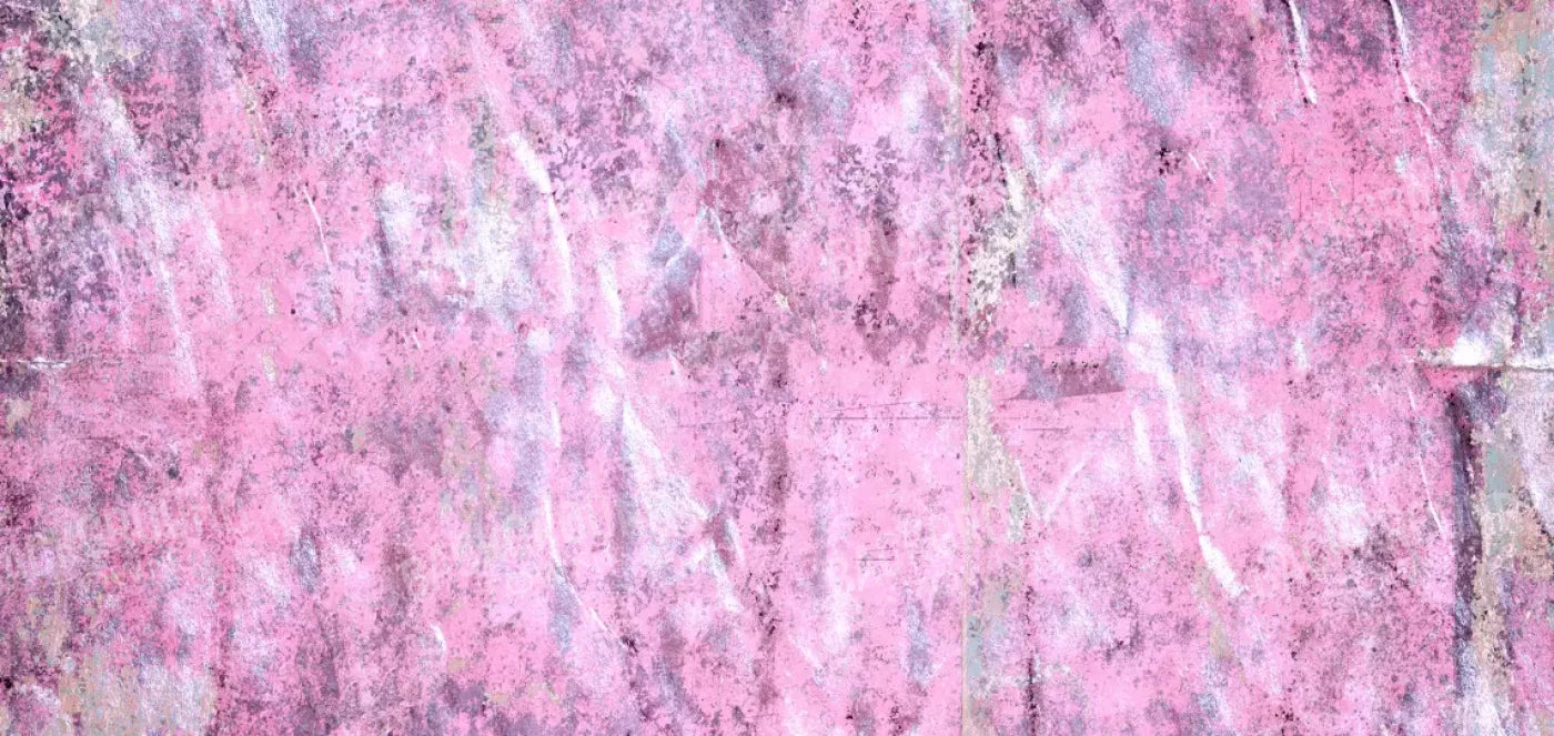 Gabby 16X8 Ultracloth ( 192 X 96 Inch ) Backdrop