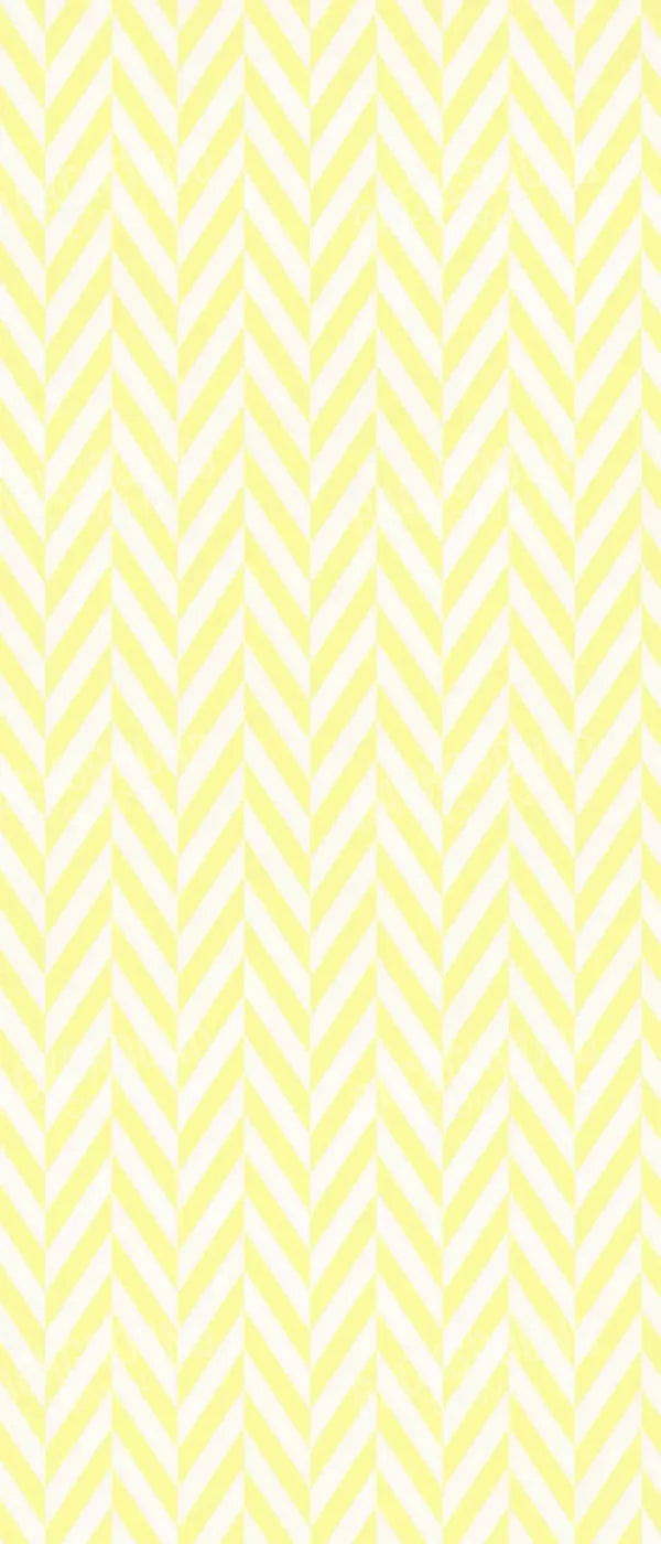 Gale 5X12 Ultracloth For Westcott X-Drop ( 60 X 144 Inch ) Backdrop