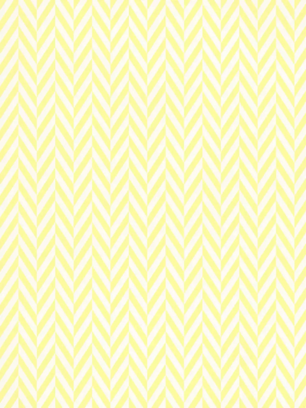 Gale 5X68 Fleece ( 60 X 80 Inch ) Backdrop