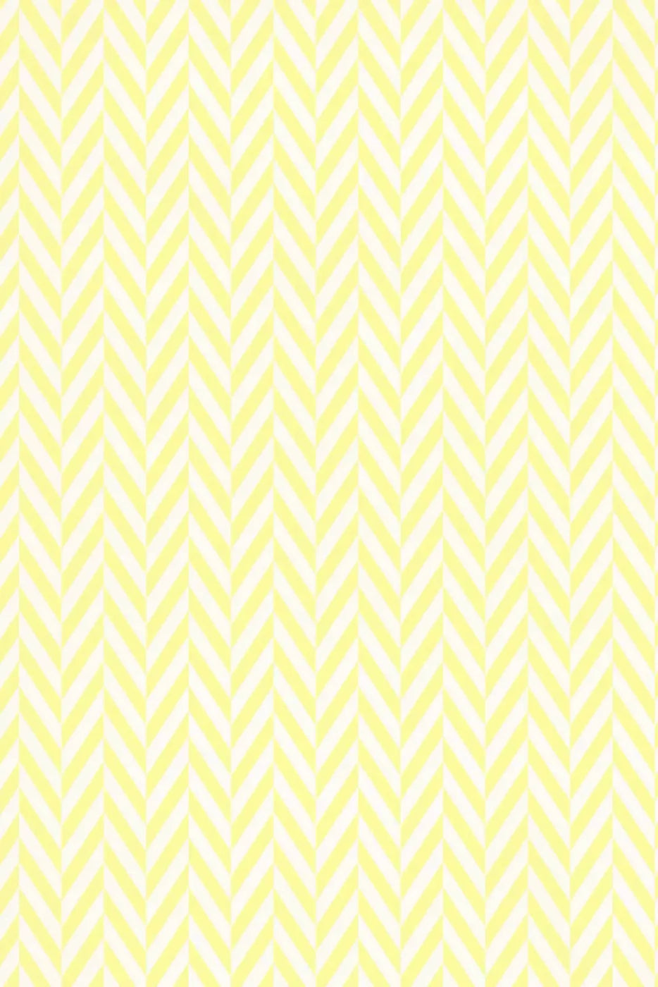 Gale 5X8 Ultracloth ( 60 X 96 Inch ) Backdrop