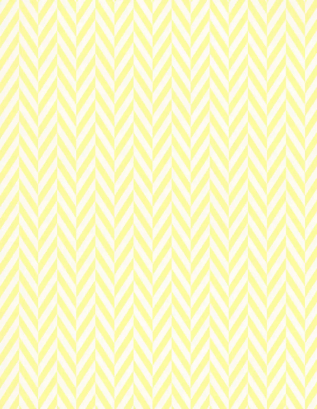 Gale 6X8 Fleece ( 72 X 96 Inch ) Backdrop