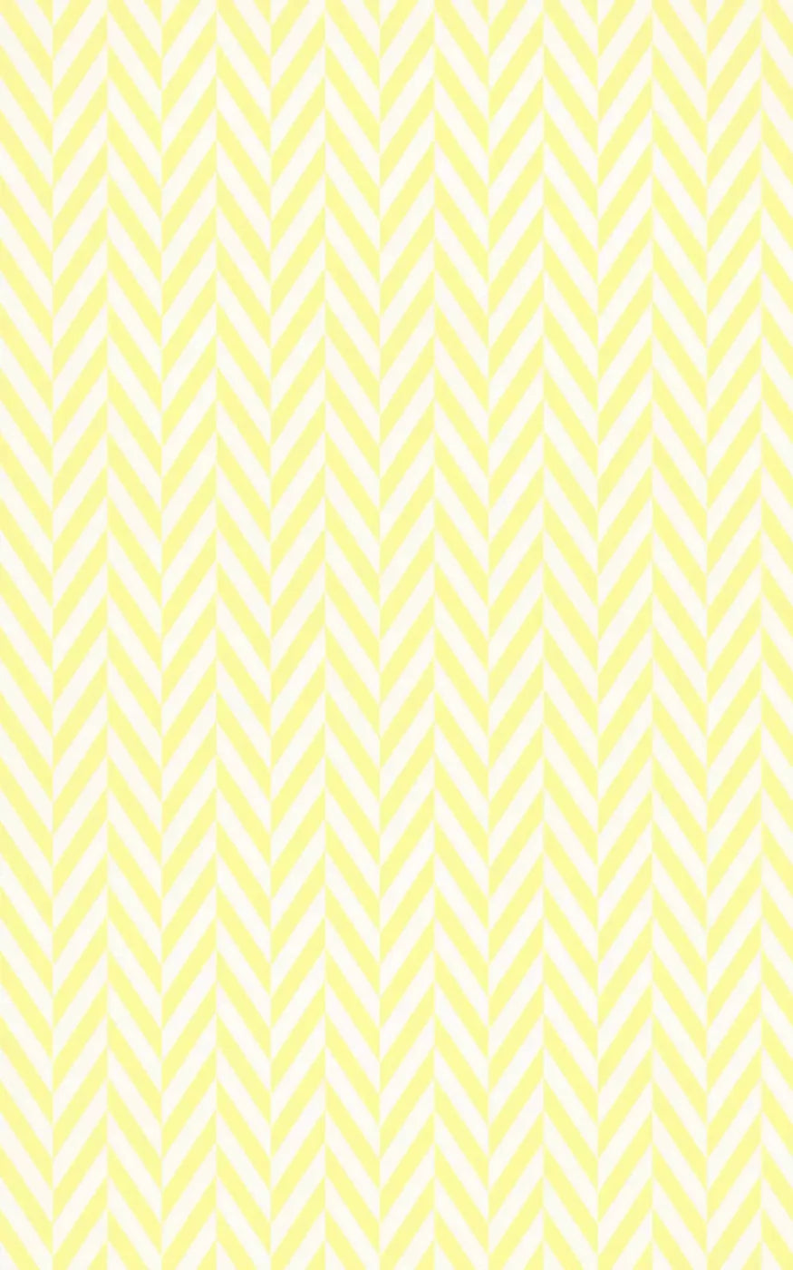 Gale 9X14 Ultracloth ( 108 X 168 Inch ) Backdrop