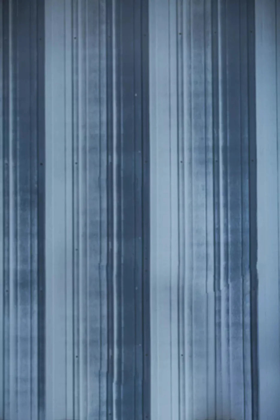 Garage Door 5X8 Ultracloth ( 60 X 96 Inch ) Backdrop