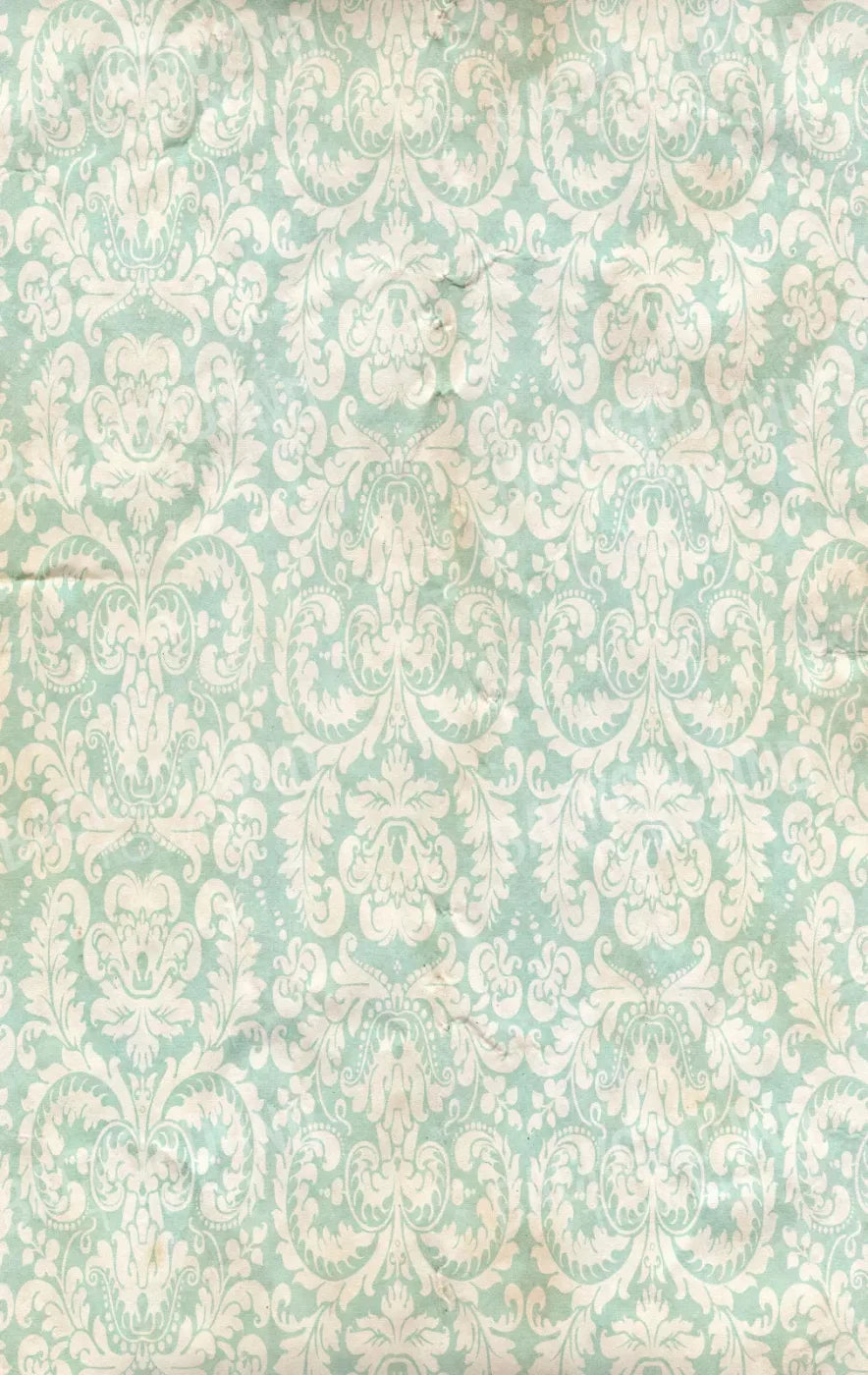 Gigi 10X16 Ultracloth ( 120 X 192 Inch ) Backdrop