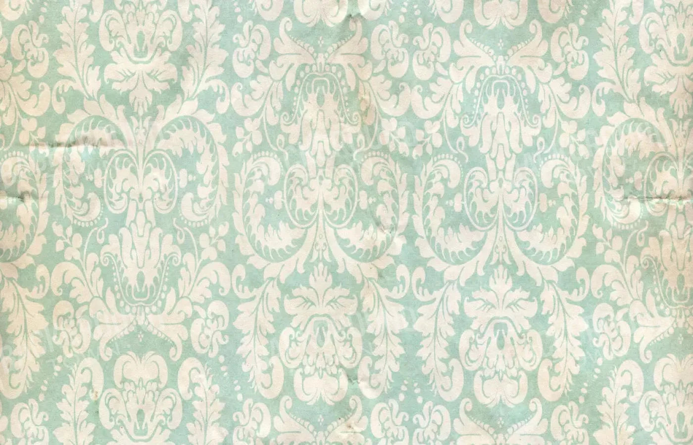 Gigi 12X8 Ultracloth ( 144 X 96 Inch ) Backdrop