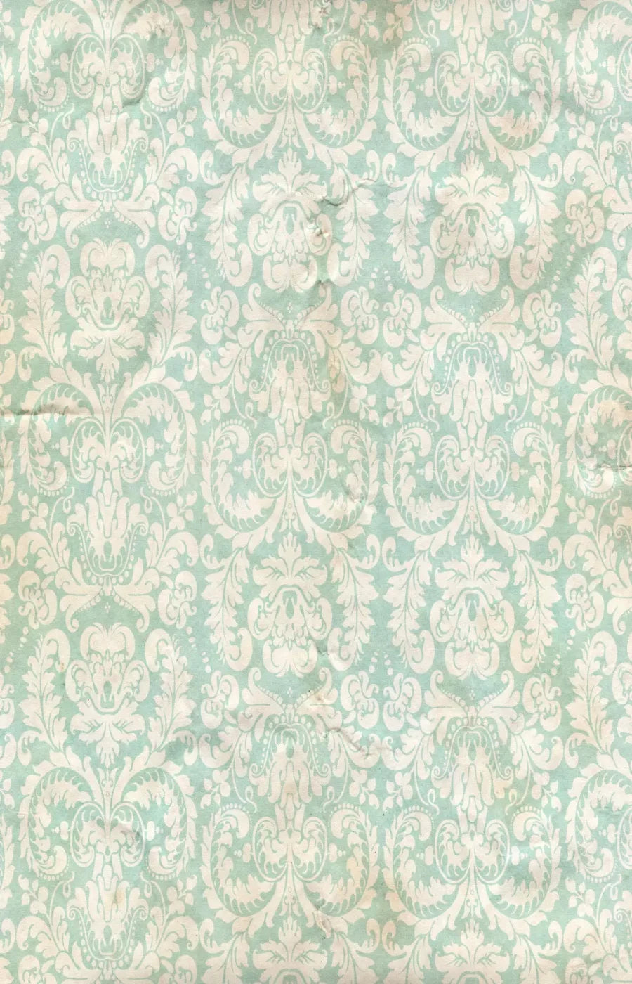 Gigi 8X12 Ultracloth ( 96 X 144 Inch ) Backdrop