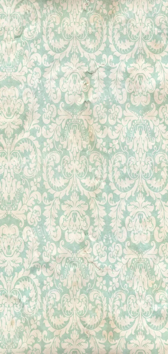 Gigi 8X16 Ultracloth ( 96 X 192 Inch ) Backdrop