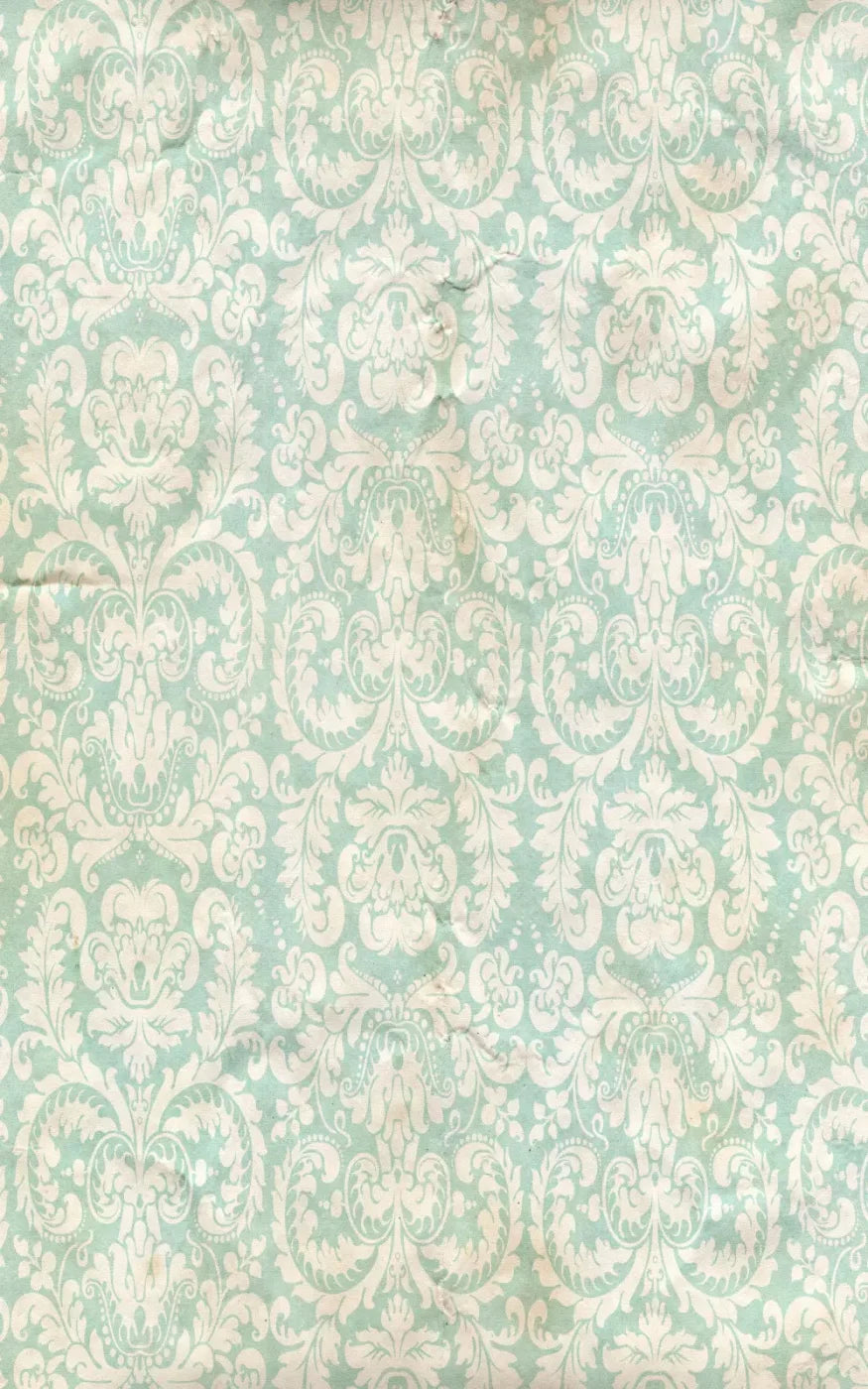 Gigi 9X14 Ultracloth ( 108 X 168 Inch ) Backdrop