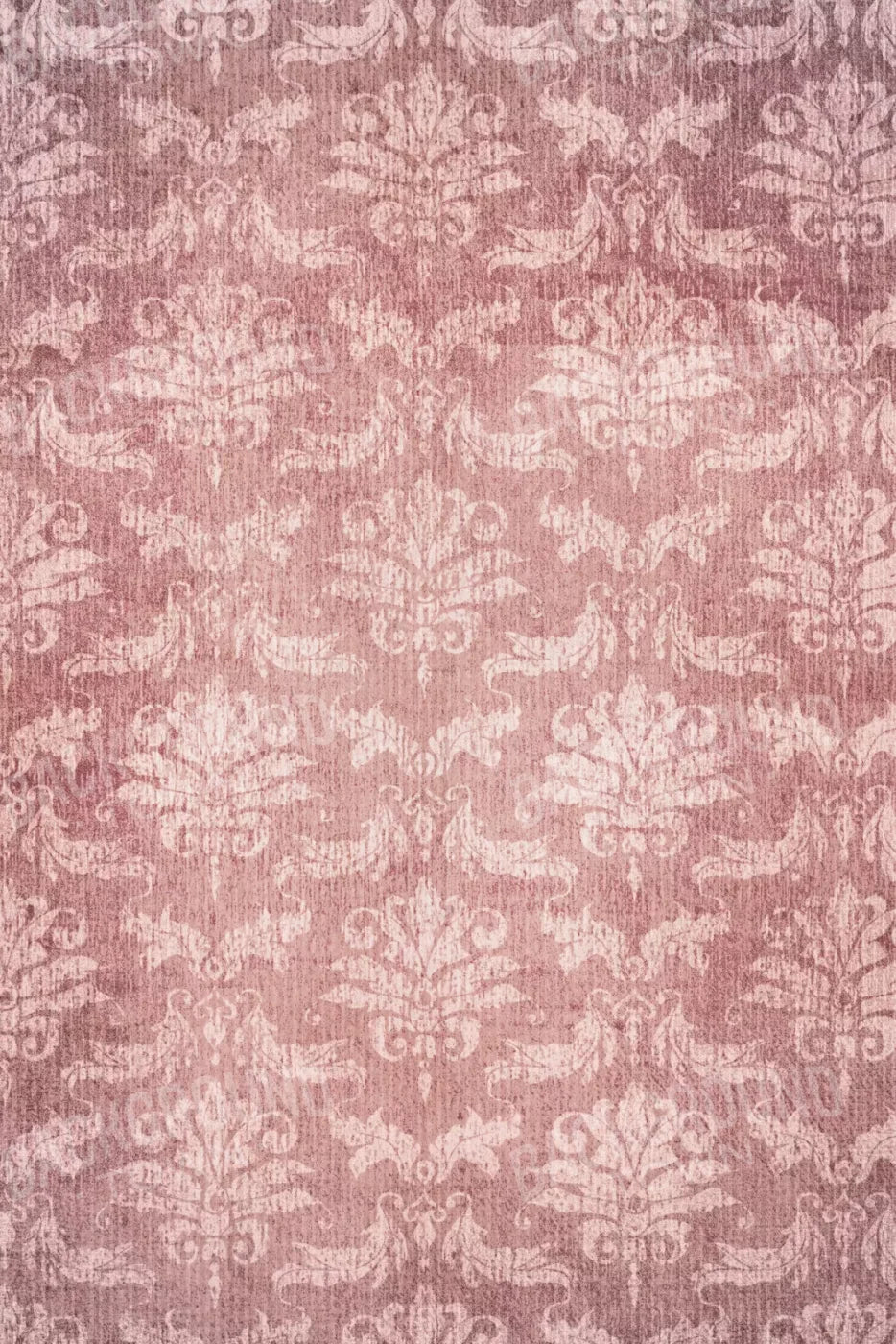 Gisele 5X8 Ultracloth ( 60 X 96 Inch ) Backdrop