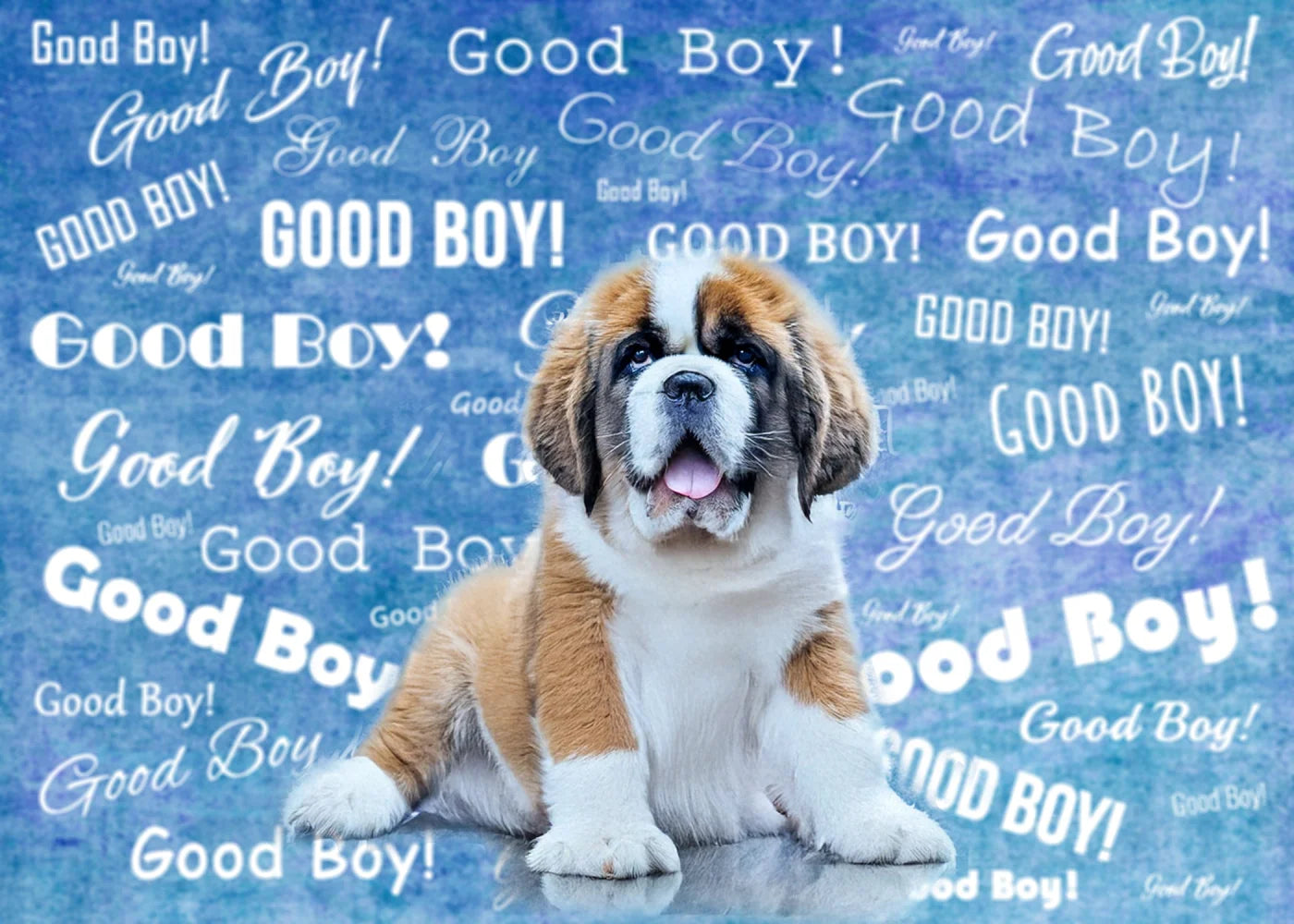 Good Boy! Backdrop