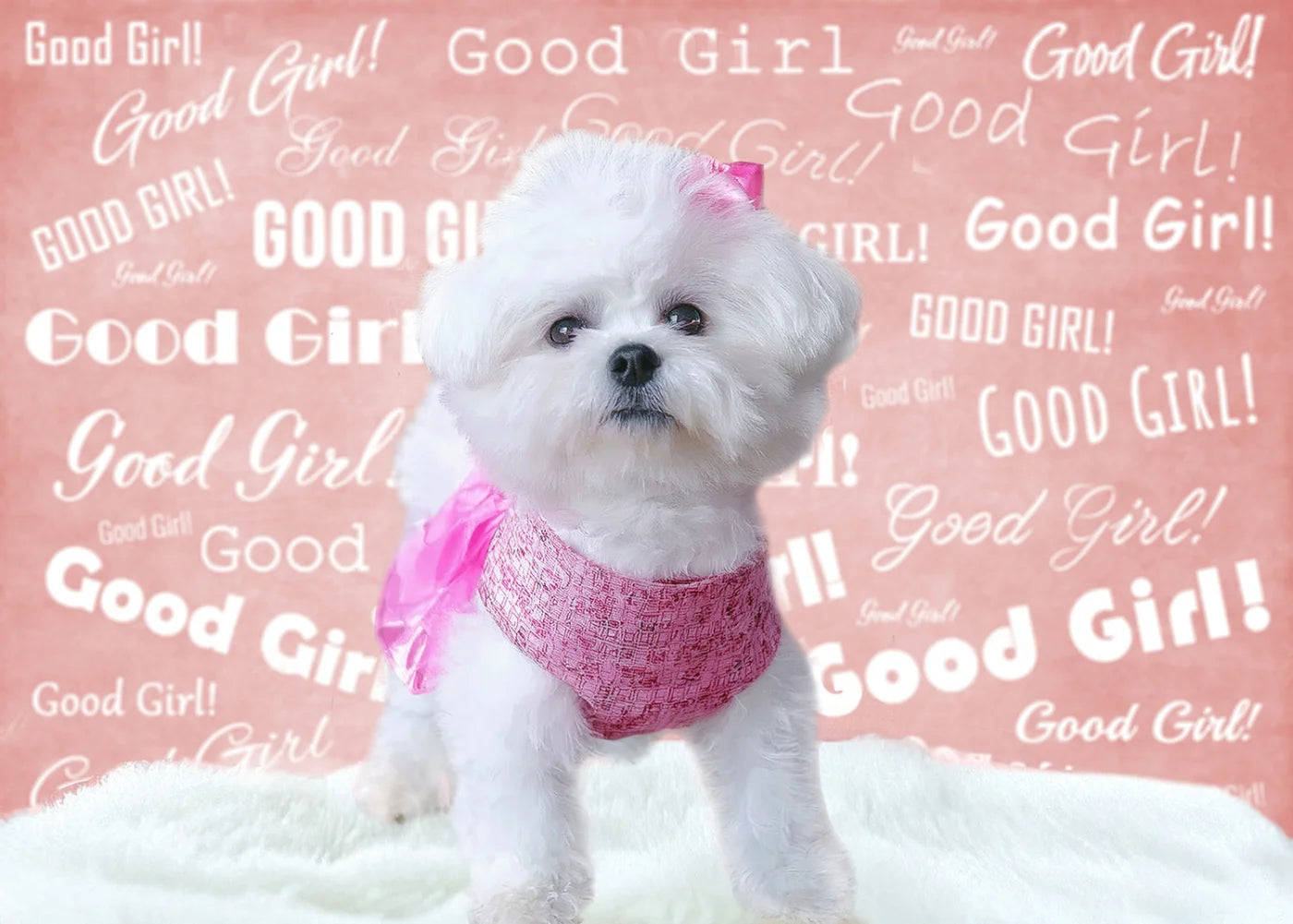 Good Girl! Backdrop