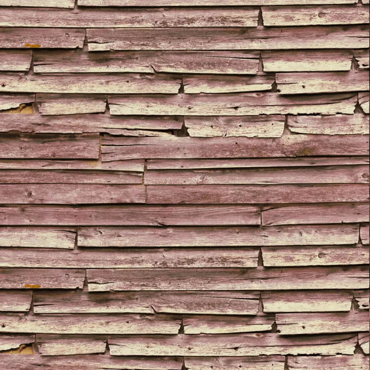 Grandmas Cabin Backdrop